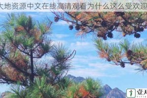 大地资源中文在线高清观看为什么这么受欢迎？
