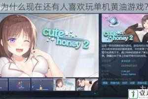 为什么现在还有人喜欢玩单机黄油游戏？