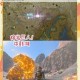 兵王地精岩髓具体位置解析与高效获取方法全攻略