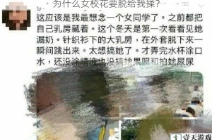 为什么女校花要脱给我揉？