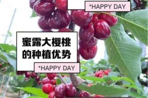 樱桃视频入口在线观看网站，为什么这么受欢迎？