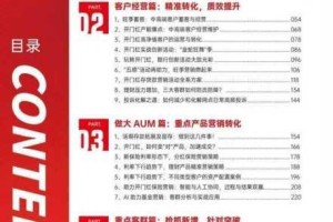 6p69-com 是什么？为什么它能成为行业领导者？如何利用 6p69-com 实现商业目标？