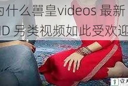 为什么嘼皇videos 最新 HD 另类视频如此受欢迎？