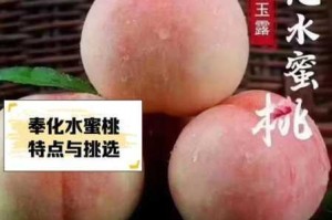 为什么蜜桃国精产品二三三区视频如此受欢迎？如何找到高质量的蜜桃国精产品二三三区视频？