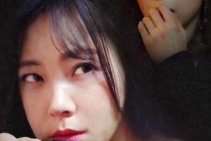 如何找到中文字幕高清电影资源？