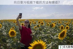 向日葵污视频下载的方法有哪些？