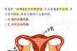 人乳大荫蒂 BBB 是什么？有什么用？如何使用？