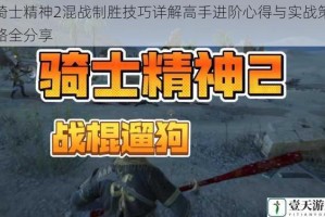 骑士精神2混战制胜技巧详解高手进阶心得与实战策略全分享