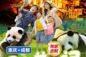 成都中文在线观看免费版能用三年吗？如何找到稳定的免费资源？
