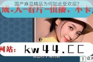 国产麻豆精品为何如此受欢迎？