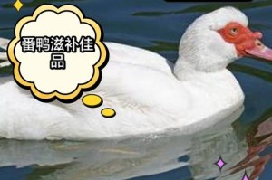 老鸭黄色 A 片的观看体验是否真的好？