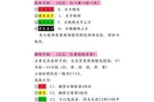 心跳21点软件安装与配置操作指南详细步骤解析说明