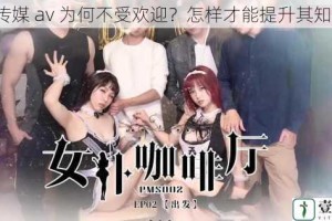 国产传媒 av 为何不受欢迎？怎样才能提升其知名度？