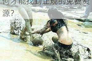 美女裸体无遮挡无遮掩免费视频是否涉及违法？如何才能找到正规的免费资源？