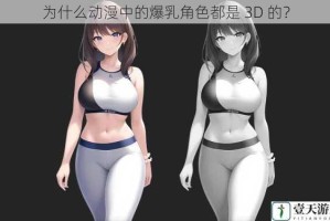为什么动漫中的爆乳角色都是 3D 的？