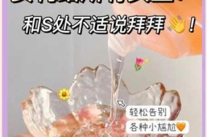 女神私人玩物为何物？或者：女神私人玩物怎样选？再或者：女神私人玩物如何使用？