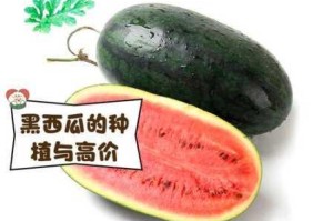 黑瓜吃料网入口、黑瓜.xyz