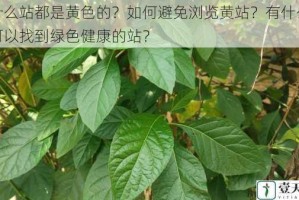 为什么站都是黄色的？如何避免浏览黄站？有什么办法可以找到绿色健康的站？