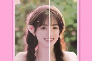 Fulao2 粉色标路线检测老版本为什么不能用了？如何解决这个问题？