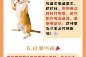 小狗 4i 被爆炒是怎么回事？会对小狗造成伤害吗？