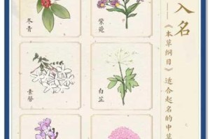 17 草名字有何奥秘？如何正确使用 17 草名字？