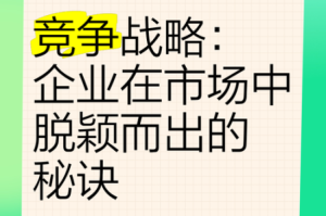 涟源爱沫私人有限公司：如何在激烈的市场竞争中脱颖而出？