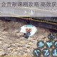 龙之谷手游公会贡献速刷攻略 高效获取途径与日常任务技巧解析