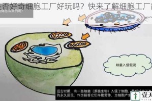 你是否好奇细胞工厂好玩吗？快来了解细胞工厂简介吧