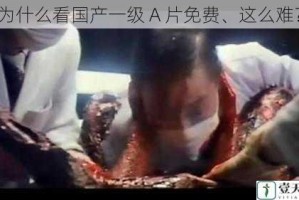 为什么看国产一级 A 片免费、这么难？
