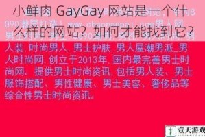 小鲜肉 GayGay 网站是一个什么样的网站？如何才能找到它？