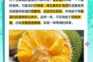 菠萝蜜在线视频怎么用？有哪些使用技巧？