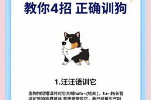 为什么会被当成贱母狗来调教？如何避免这种情况？调教时应该注意什么？