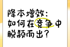 凹凸凹文化传媒有限公司：如何在竞争激烈的市场中脱颖而出？
