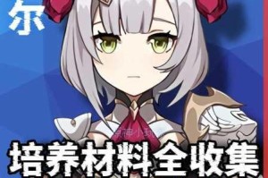 原神诺艾尔全方位定位解析与实战培养优先级深度指南