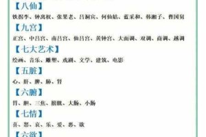 人 C 交 Z0OZ0OXⅩ3D 是什么？有何作用？如何实现？