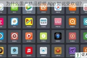为什么国产精品视频 App 如此受欢迎？