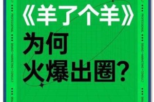 爆料下载：网络热点背后的秘密大揭秘