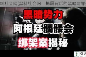 黑料社会网(黑料社会网：揭露背后的黑暗与罪恶)