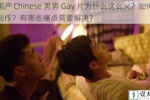 国产 Chinese 男男 Gay 片为什么这么火？如何制作？有哪些痛点需要解决？