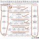 觅长生筑基前阶段高效发育路线与资源收集技巧全解析
