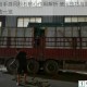 风暴岛手游风眼石核心作用解析 使用技巧与高效获取方法一览