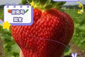 为什么草莓视频污污污会被搜索引擎惩罚？如何避免这种情况发生？