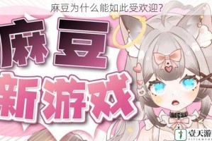 麻豆为什么能如此受欢迎？
