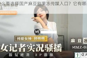 为什么要选择国产麻豆剧果冻传媒入口？它有哪些优点？