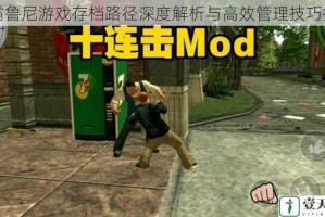 恶霸鲁尼游戏存档路径深度解析与高效管理技巧指南