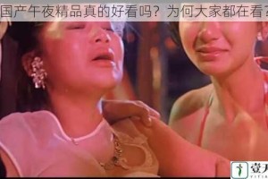 国产午夜精品真的好看吗？为何大家都在看？