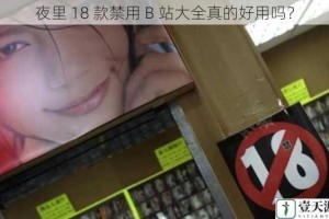 夜里 18 款禁用 B 站大全真的好用吗？