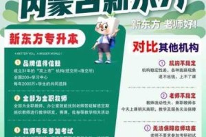 伊甸新东方直飞 2029 直达官网，如何才能实现？