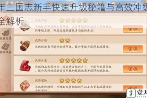 少年三国志新手快速升级秘籍与高效冲级技巧全解析