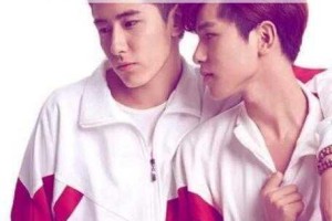 高中小鲜肉 Gay 免费是真的吗？如何找到真正免费的资源？
